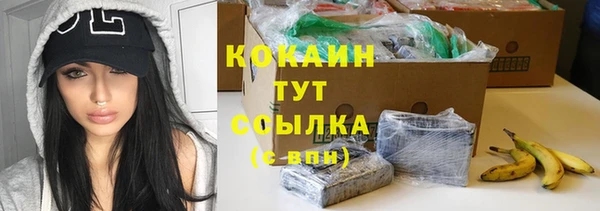 дживик Зеленокумск