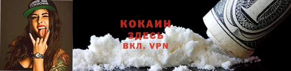 дживик Зеленокумск