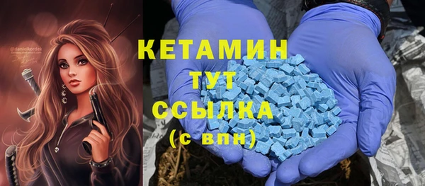 крисы Лагань